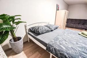 Уютная квартира в историческом центре