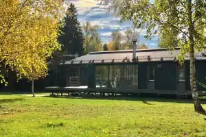 Дом носорога с камином