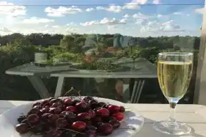 Русская Прибалтика, Светлогорск