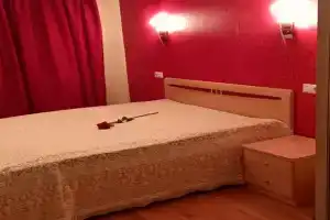 Уютная просторная светлая чистая двухкомнатная квартирка, Петрозаводск