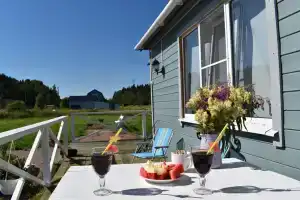 Частный дом «Саари»