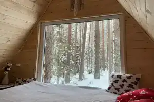 Домик на дереве, Сольвычегодск