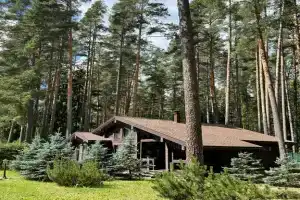 Домик в сосновом бору