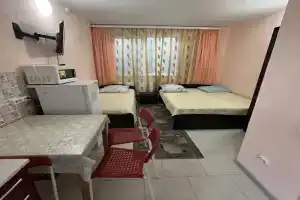 Трёхместный номер однокомнатный, Голубицкая