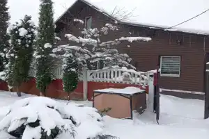 Дом в центре