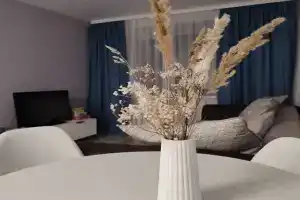 Уютная квартира, Плес