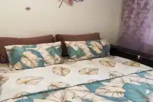 Рядом ЖД вокзал, автовокзал, Синегорье, парк Пушкина, магазины, Челябинск