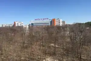 Однокомнатная квартира рядом с клиникой Мать и дитя