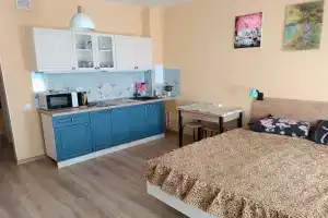 Студия Sunflower, Санкт-Петербург
