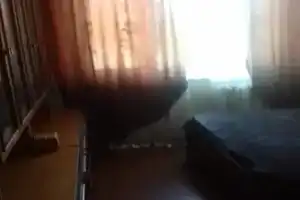 Уютная комната, Алушта