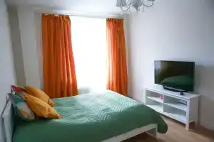Квартира около НМИЦ онкологии им. Н.Н. Петрова, Песочный