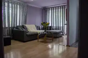 Стильная однокомнатная квартира посуточно в Спасске-Дальнем