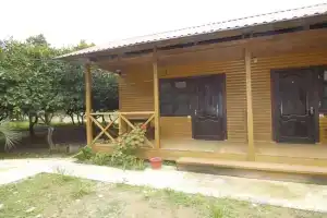 Деревянный домик, Лидзава