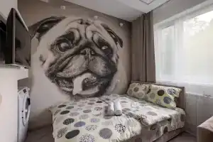 Студия, Москва
