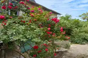 Частный дом, Макопсе