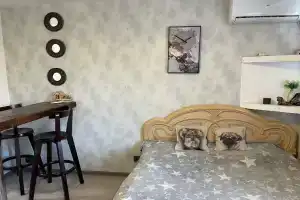 Студия с видом на Каму, Чайковский