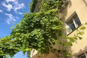Уютная квартира в уютном месте