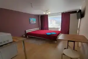 Апартаменты " Как дома" Студия 10 рядом с университетом., Владимир