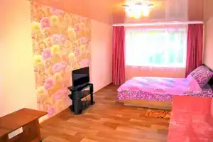 Большая 2 ком.квартира-люкс в центре в тихом районе