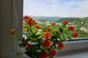 Уютная квартира с шикарным видом на горы, лес, ущелье и город, Кисловодск