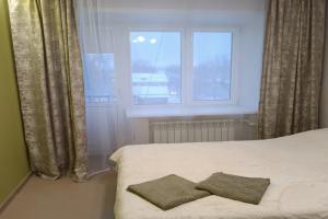 Апартаменты " Как дома" Студия 17 рядом с университетом, Владимир