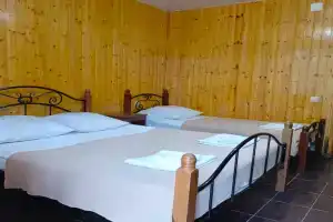 Четырёхместный номер стандарт, Леселидзе