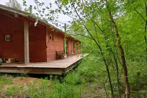 Дом на краю леса с панорамными окнами, камином и сауной., Васкелово