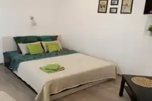 Студия на Хохловом поле, Гатчина