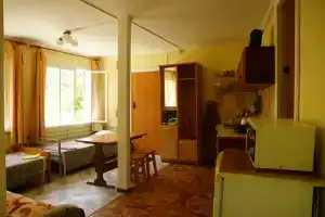 Уютная квартира-студия, Солоники