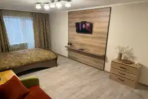 Уютная квартира в центре города у Закхаймских ворот