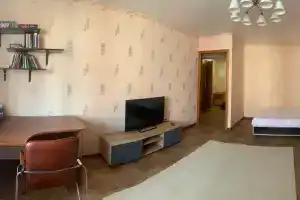 Просторная уютная квартира, Нижний Новгород