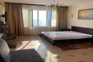 Эллинг, Адлер