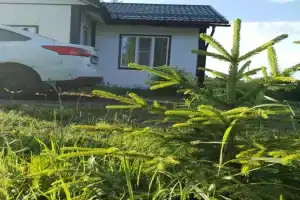 Гостевой дом в Креницах