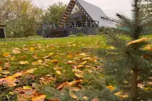 Дом А-фрейм с чаном и баней в лесу, на берегу пруда