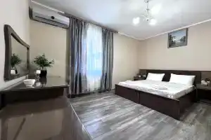 Двухместный номер с 1 кроватью Двухместный стандарт, Солоники