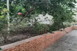 Уютный домик в центре города