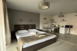 Двухместный номер с 1 кроватью комфорт, Дивноморское