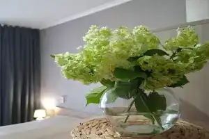 Апартаменты рядом с домом паломника