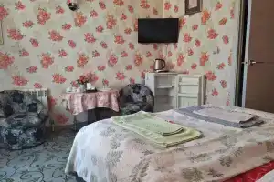 Двухместный номер с 1 кроватью стандарт, Геленджик