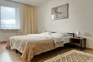 3-комнатная квартира, Шушары