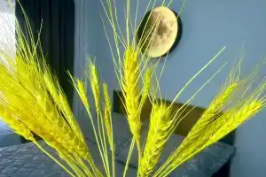 Квартира в новом районе