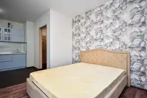 Студия рядом с ТРЦ Планета, Красноярск