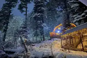 Уютный домик в лесу