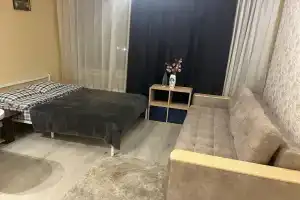 Большая студия в ЖК Спутник, Москва