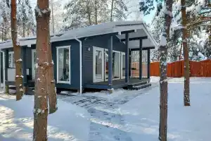 Дом в лесу «Скандинавский шик»