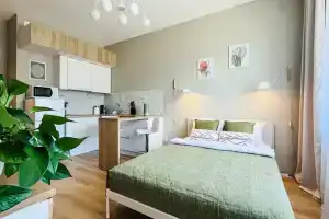 Уютная студия в Песочном