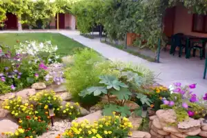 Береговое - Гостиницы