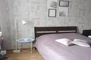 Квартира в Рязани рядом с Глобусом