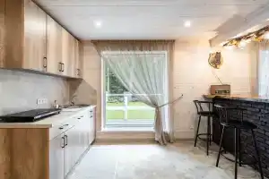 Дом-студия с баней в самом центре Беловежской пущи ( д. Ляцкие)