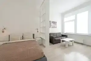 Просторная квартира с новым ремонтом, Санкт-Петербург